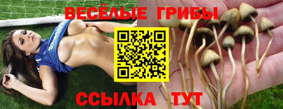 Псилоцибиновые грибы ЛСД Сызрань